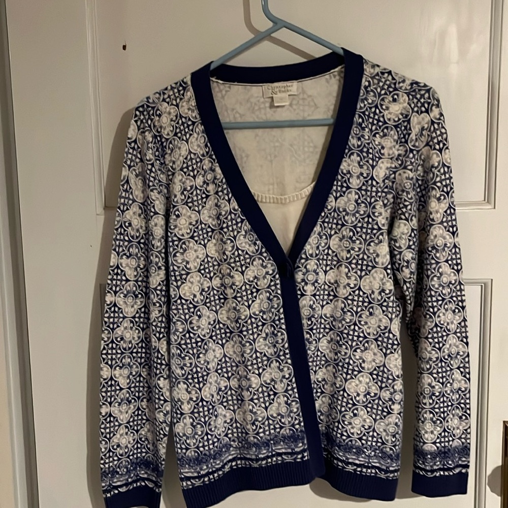 Christopher and Banks blue and white light weight sweater.